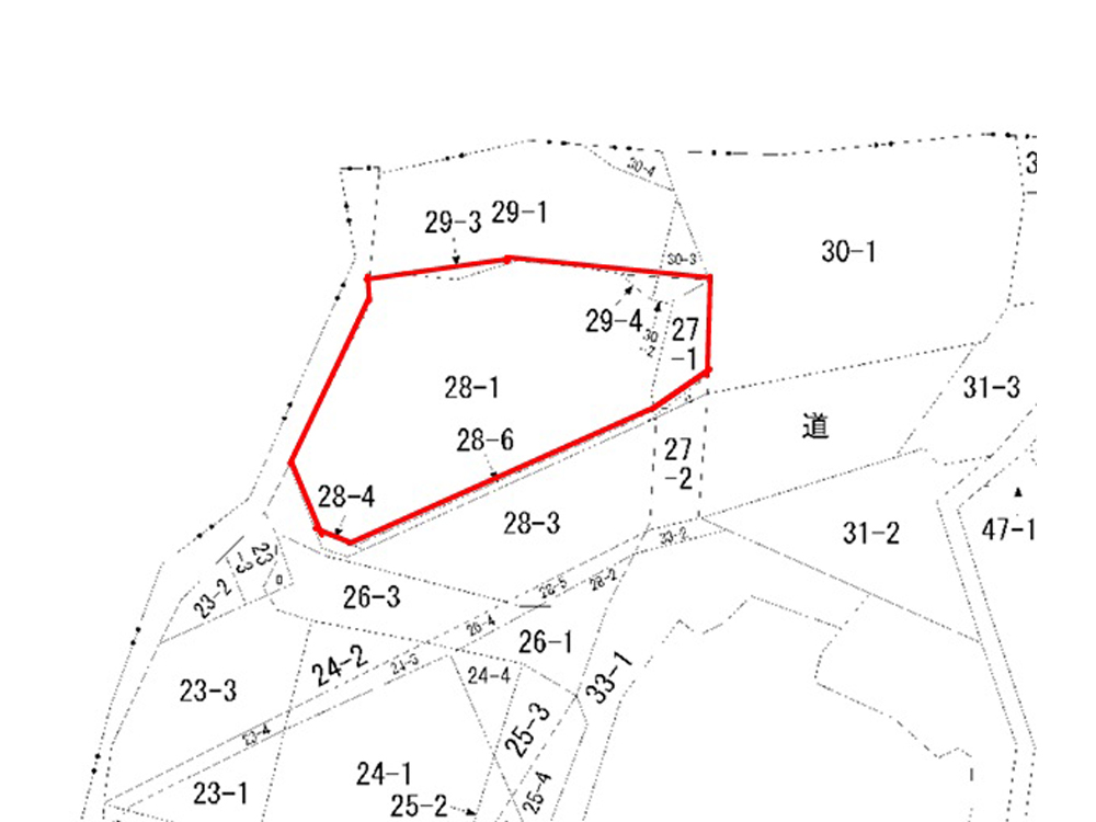 資料用公図